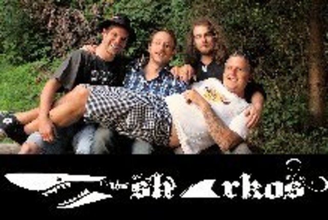Mehr Informationen zur Band sowie die kommenden Veranstaltungstermine findest du auf Facebook unter "Los Sharkos". | Foto: Los Sharkos