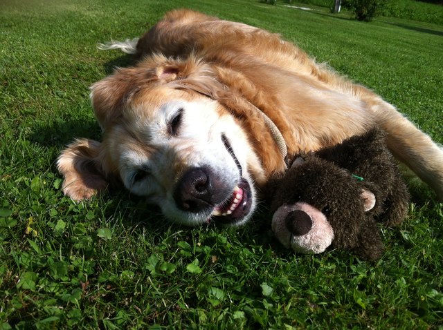 Strahler 80 Lächeln