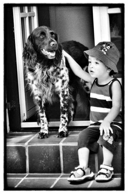 Unser kleiner Moritz im Burgenland