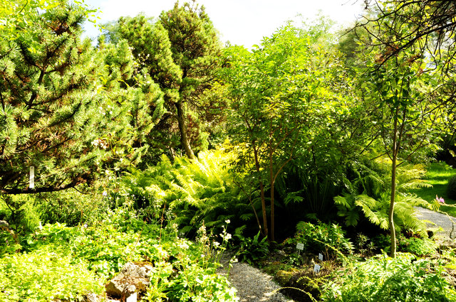 ..Botanischer Garten..