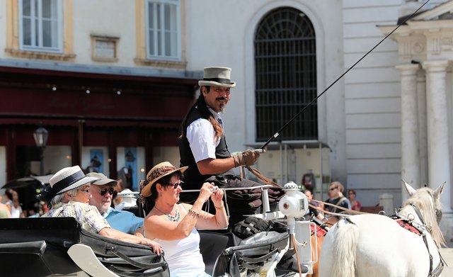Wiener Sommer - So werden wir gesehen