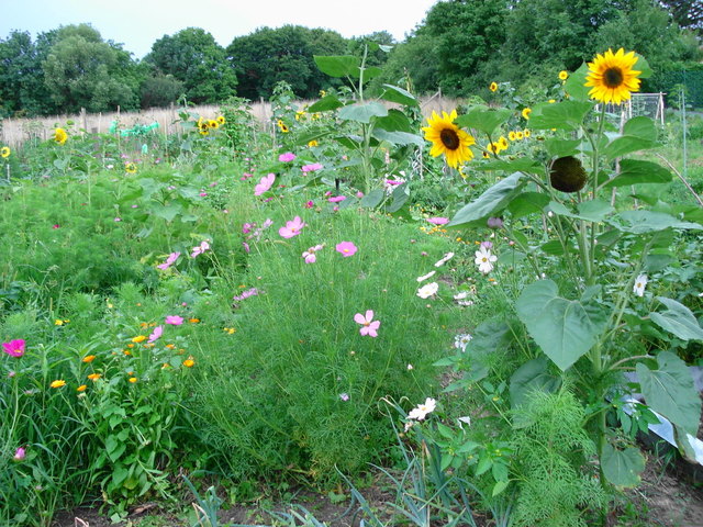 gartln am roten berg