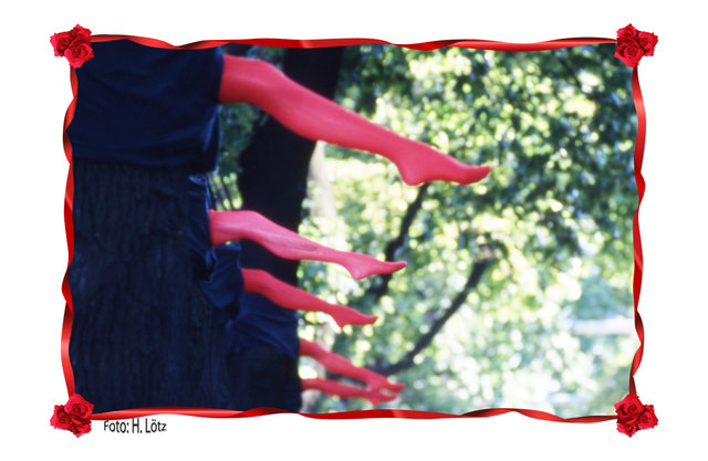 Und wo sind die Damen, Zauberei ?