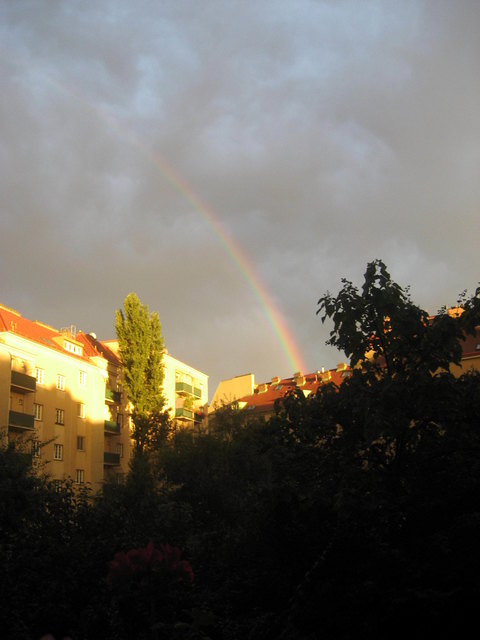 Nach dem Gewitter im Gemeindebau
