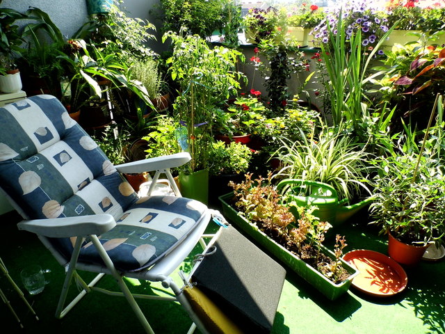 Mein Sommer in der Stadt...