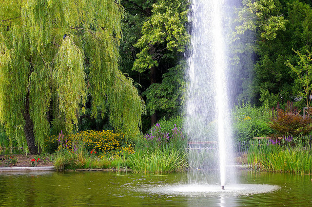 Türkenschanzpark Wien Währing