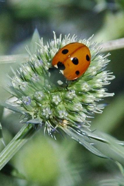 platz nehmen und ausruhen