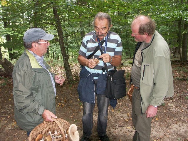 Handfeste Beweise macht Prelicz regelmäßig mit Interessierten im Wald dingfest.