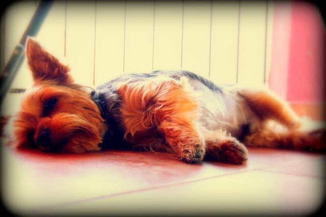 Mein Gott..Heut haben wirs aber heiß. Ein Hoch auf kalte Fliesen!