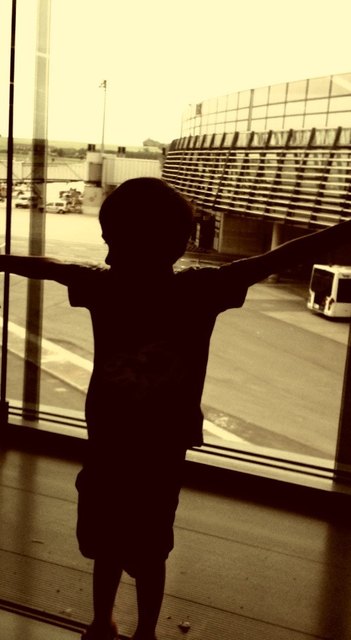 Flieg!    Flughafen Wien