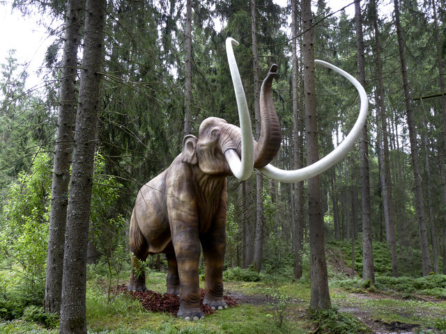 Die Dinosaurier-Ausstellung wird verlängert. | Foto: Dinoworld