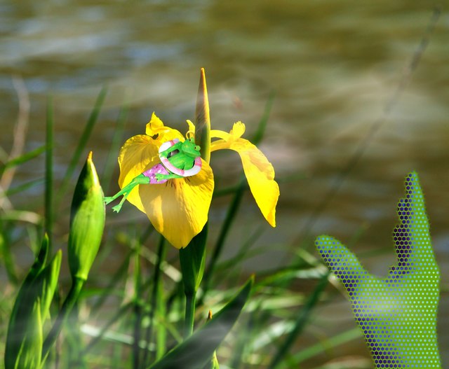 Das Ende eines Badetages an der schönen *blauen* Donau in Wien;-))