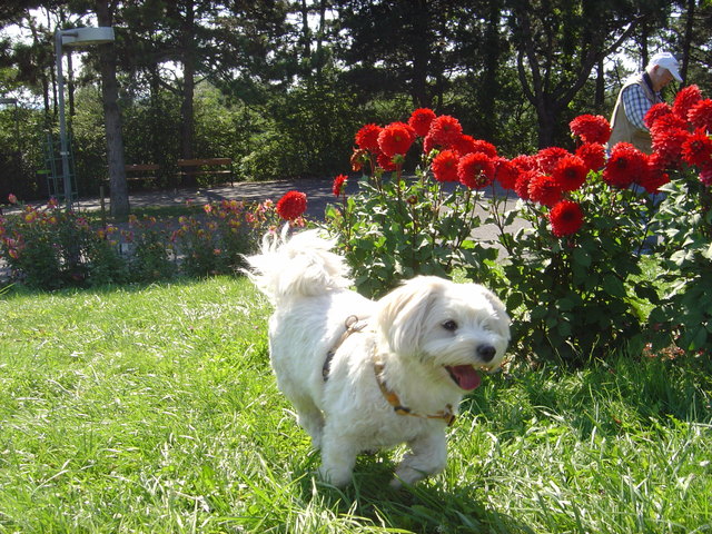 Im Donaupark wars lustig