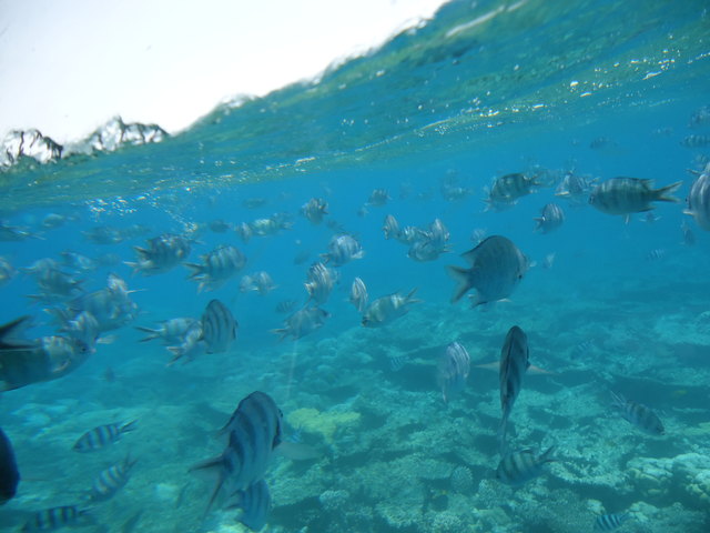 Zwei Welten treffen aufeinander.