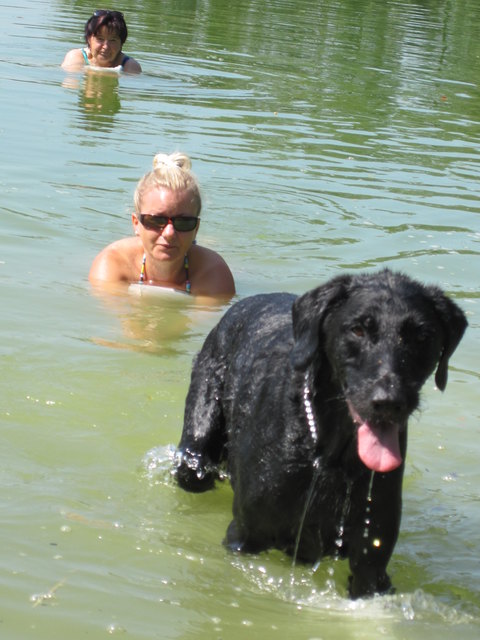 in der erfrischenden Donau