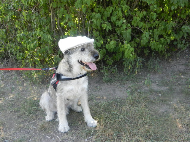 Rony Feschak AL Capone