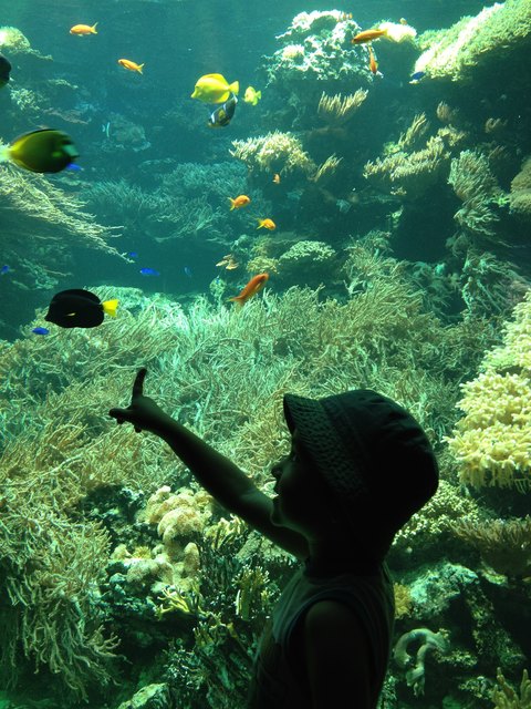 Fiiiiiische!   Tiergarten Schönbrunn