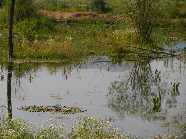 Spiegelbild