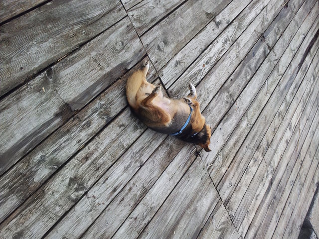 in der Wärme wuzln :)