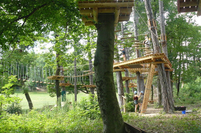 Waldseilpark am Kahlenberg