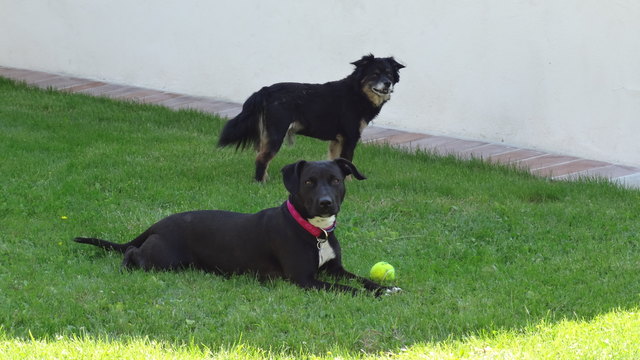 Meine beiden Schätze