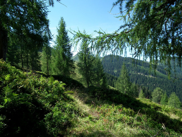 Am Grafenberg