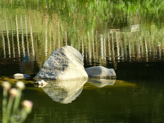 Sommer auf meiner eigenen kleinen Insel
