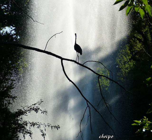 Abkühlung neben dem Springbrunnen