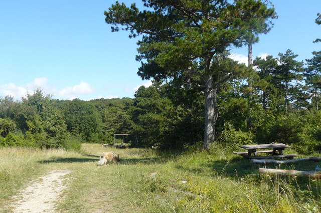 Wandern am Bisamberg