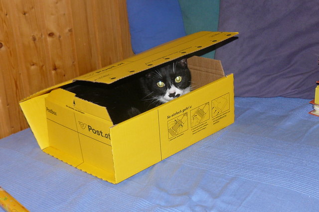 Bitte einfach zum Nordpol