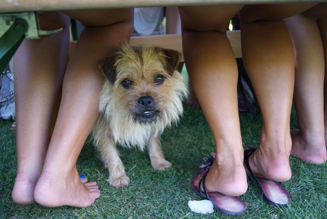 Fides-Gruß vom Fuß