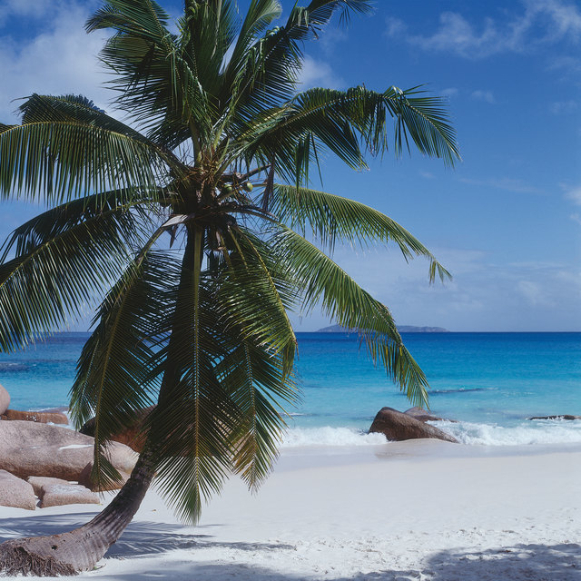 Foto: Fotolia