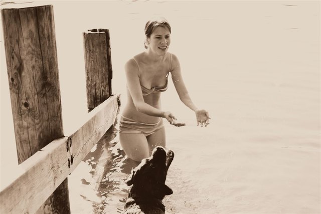 Dienstag an der Alten Donau