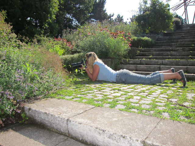 Wird sicher ein super Foto :-)