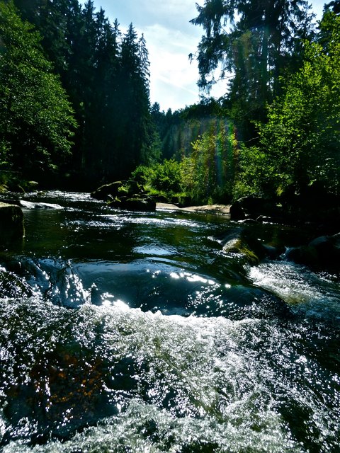 Radausflug im Waldviertel - Bei meiner Tour durch Österreich hatte ich auch eine super Radtour mit meinen Freunden in Zwettl und Umgebung. Und hier der Fluß den wir auch mit dem Rad überquert haben.