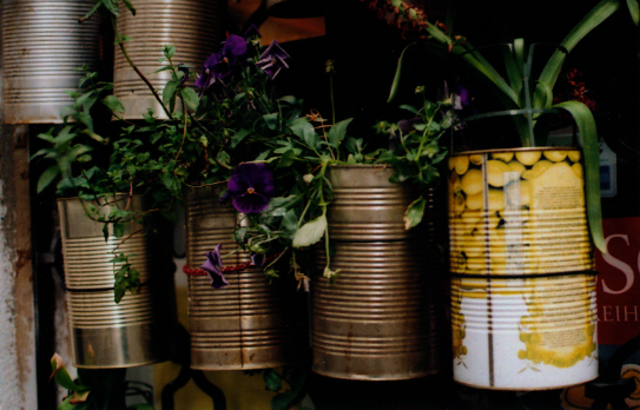 Fenstergärten/2 Hafnersteig Wien