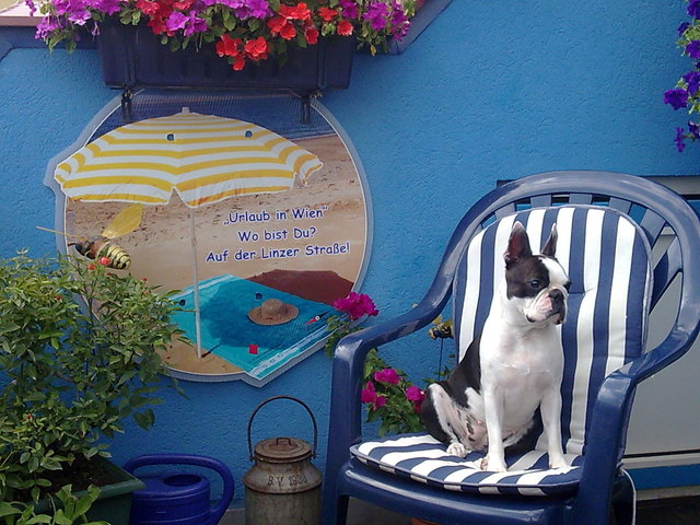 urlaub auf der linzerstrassemit ruby