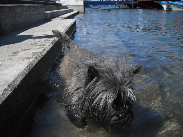 eine Abkühlung kann nie schaden