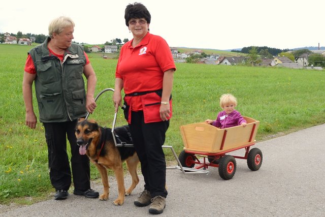 Maria Kloibhofer und Frieda Tatzel chauffierten mit der Hündin Akita im Zughundegespann Kinder in Wandschamel herum.