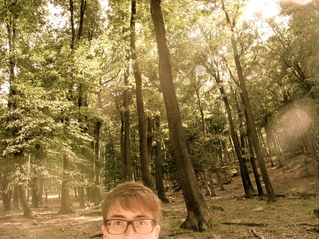 Verloren zwischen Wildschweinen im Lainzer Tiergarten