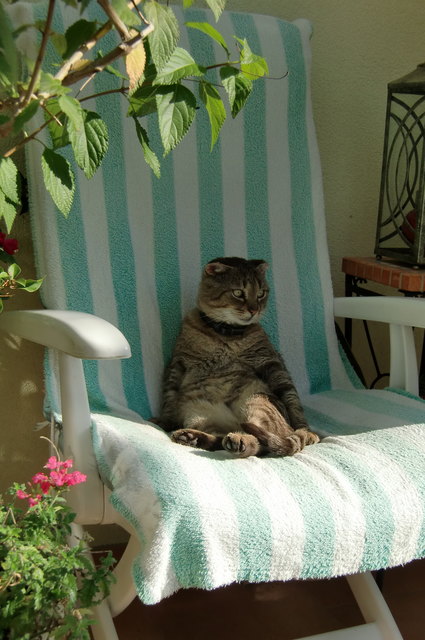 So ist es gemütlich