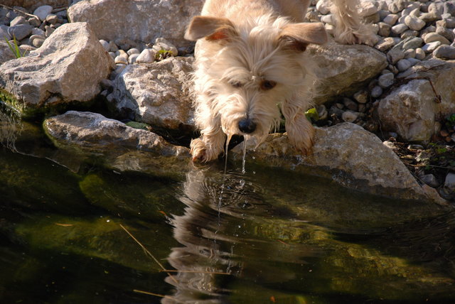 Soll ich oder soll ich nicht? Lilly