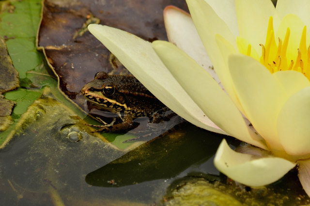 "huhu...da bin ich!!"