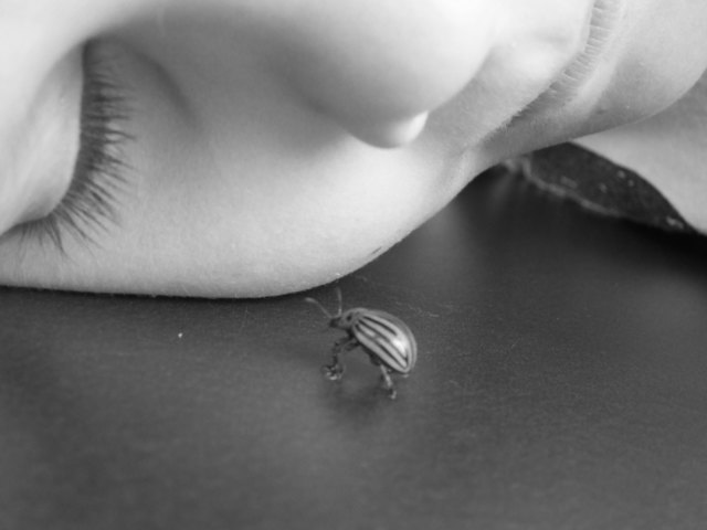 Begegnung der dritten Art ;)