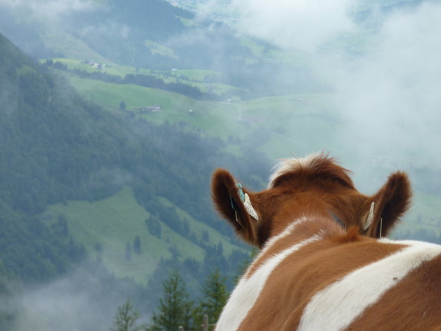 ...und die Aussicht geniesen!