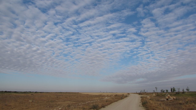 Jakobsweg - Meseta beginn