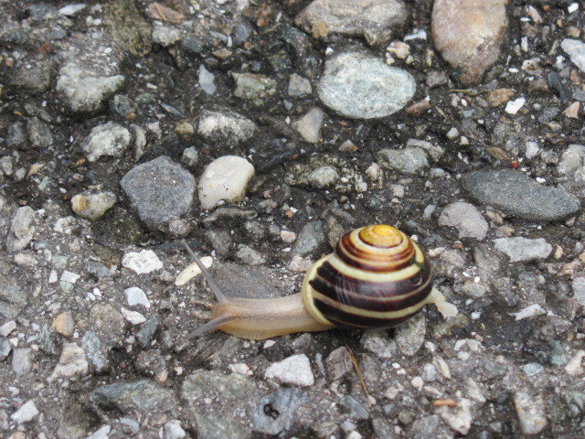 nur schön gemütlich