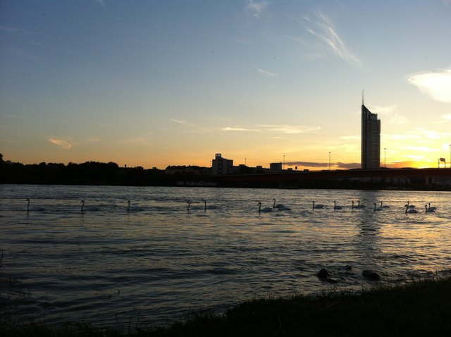 mein sommer auf der insel