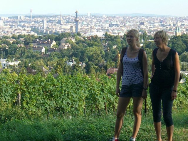Super Ausblick vom Kahlenberg - und das gleich vor der Haustür!