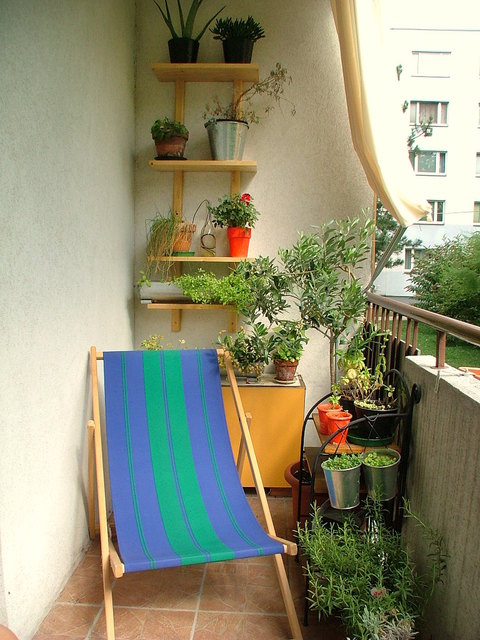 Geliebtes Balkonien (Wien Favoriten)